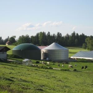 Stalllkamp Glattstahlbehälter mit Abdeckung Fernansicht